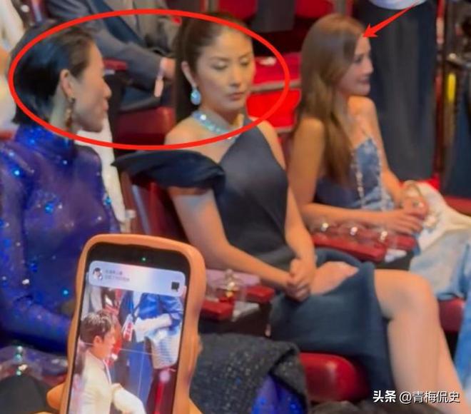 镜胡杏儿美出圈C位张柏芝抢尽风头开元棋牌澳门晚宴：刘嘉玲大露背抢(图8)