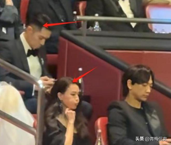 镜胡杏儿美出圈C位张柏芝抢尽风头开元棋牌澳门晚宴：刘嘉玲大露背抢(图7)