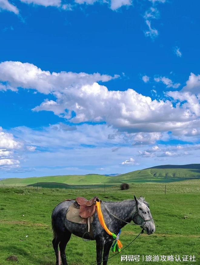 光行程报价明细解析最后一点值了开元棋牌app甘南五日游费用曝